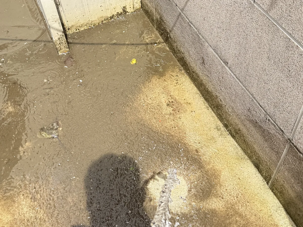동해시 심곡동 배관 관리실·기계실 위생청소 사례 - 행진크린